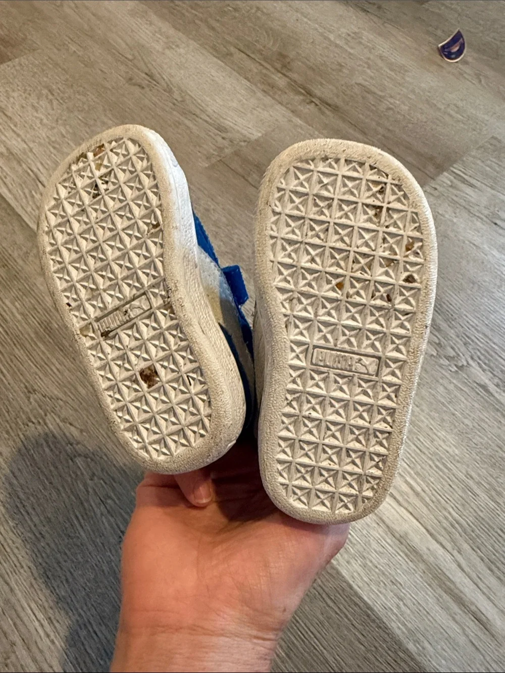 Puma Toddler Royal Blue Velcro Suede Sneakers